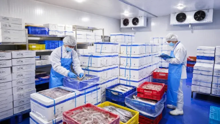 Workers in PPE arranging seafood cartons and fish baskets in a cold storage facility for export.